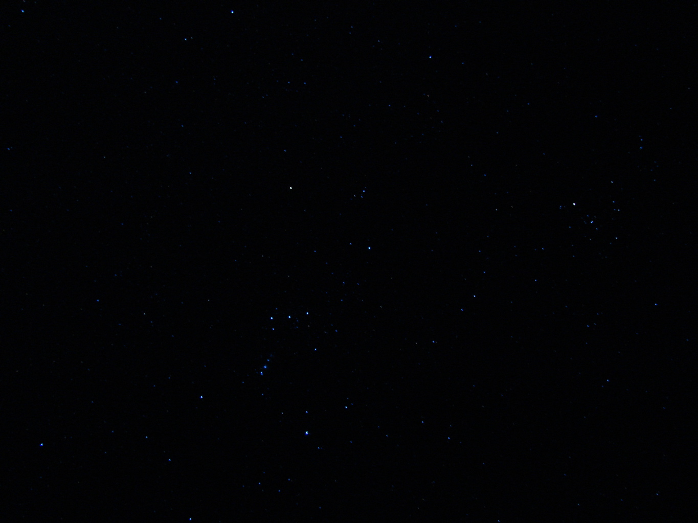 DSC00263.JPG