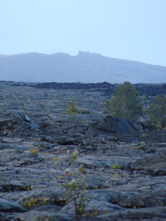 DSC00053.JPG