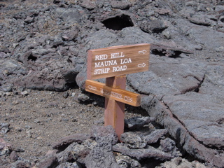 DSC00245.JPG