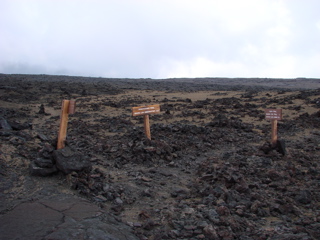 DSC00248.JPG