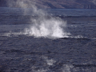 DSC00252.JPG