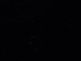 DSC00263.JPG