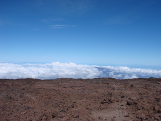 DSC00277.JPG