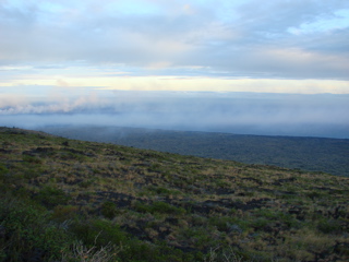 DSC00068.JPG