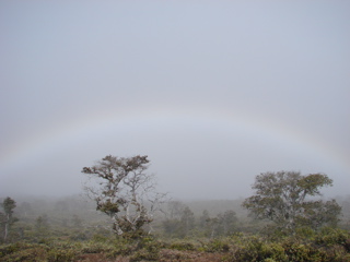 DSC00087.JPG