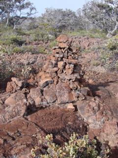 DSC00091.JPG
