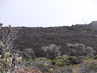 DSC00094.JPG
