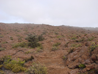 DSC00095.JPG