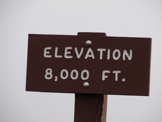 DSC00098.JPG