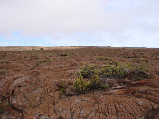 DSC00101.JPG