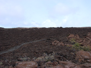 DSC00110.JPG