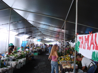 DSC00036.JPG