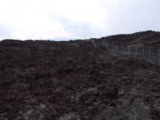 DSC00124.JPG