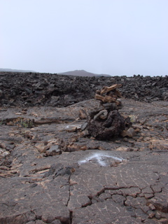 DSC00125.JPG