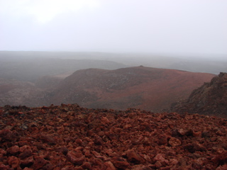 DSC00157.JPG