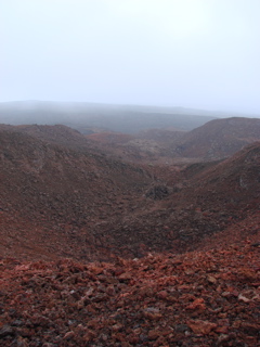 DSC00161.JPG