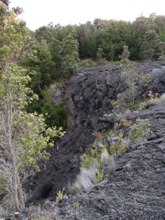 DSC00047.JPG