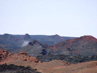 DSC00205.JPG