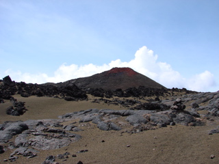 DSC00210.JPG