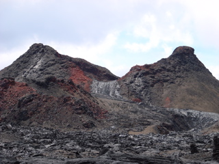 DSC00215.JPG