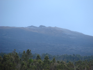 DSC00051.JPG