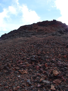 DSC00219.JPG