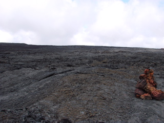 DSC00220.JPG