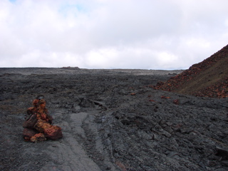 DSC00221.JPG