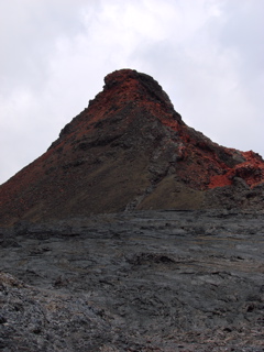 DSC00223.JPG