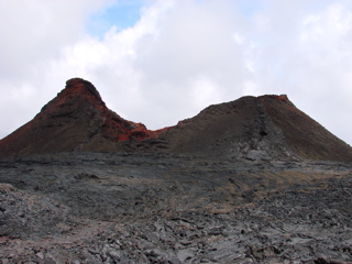 DSC00224.JPG