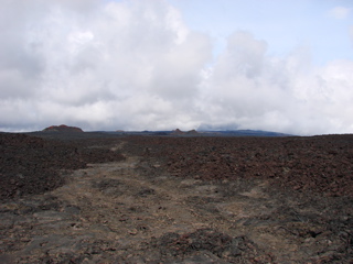 DSC00229.JPG