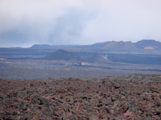 DSC00231.JPG